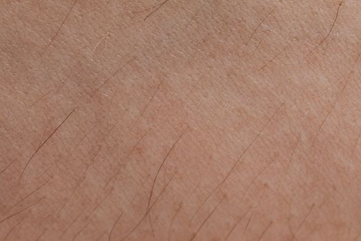 GHK-Cu et cheveux : ce que dit réellement la science sur la pousse capillaire